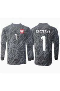 Polen Wojciech Szczesny #1 Keeper Fotballdrakt Borte Klær EM 2024 Lange ermer